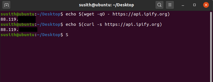 public IP from linux terminal